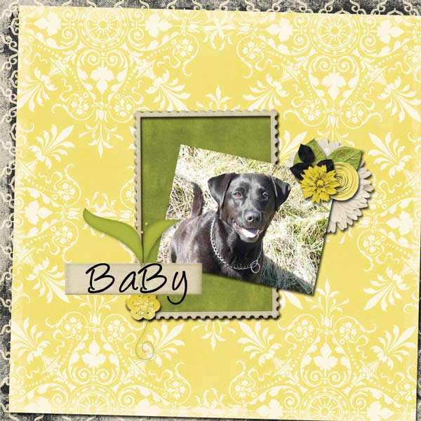 gs-july-scraplift.