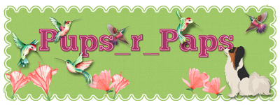 GS - June 2024 Siggy