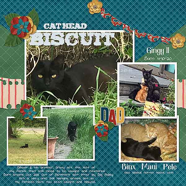 GS-LC1122-BiscuitxGingyII-2020