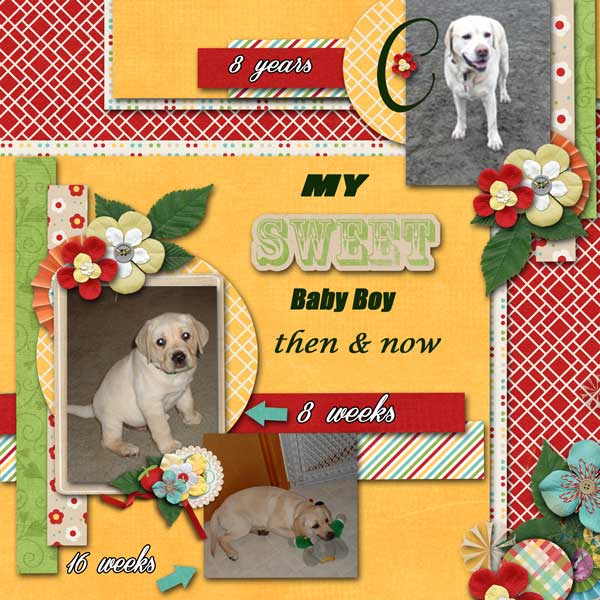 gs-may-2013-scraplift