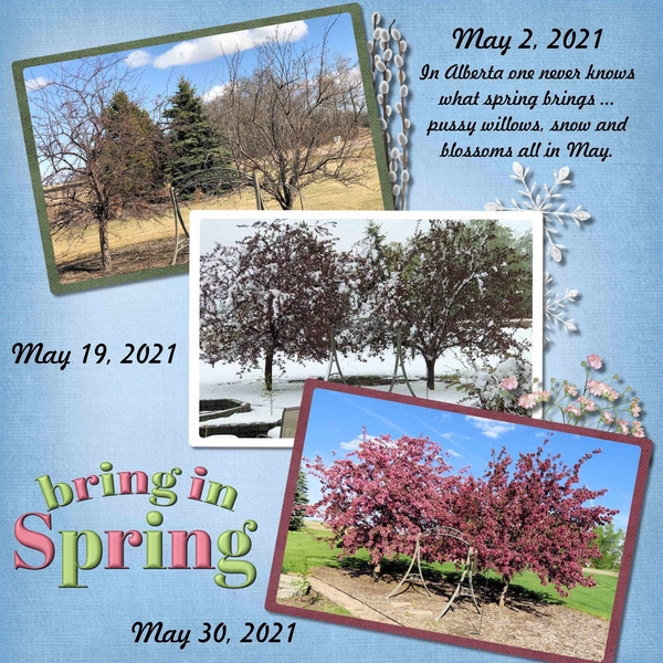 GS Memory Mix Up Challenge Apr 2022 with Miss Fish