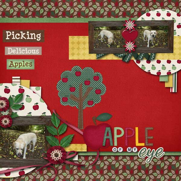 gs-nov-2013-scraplift