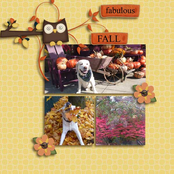 gs-oct-2014-inspiration