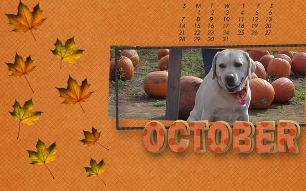 gs-oct-desktop