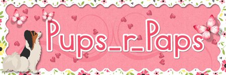 GS---Pink-May-2025-Siggy