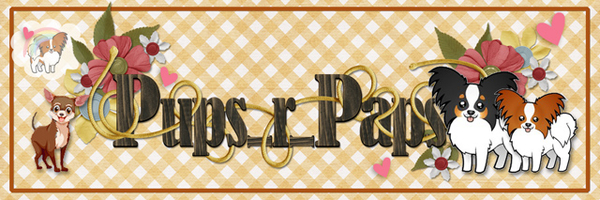 GS - Pups June 19 Siggy