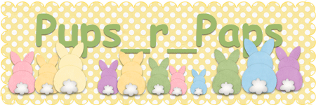 GS - Spring 21 Siggy