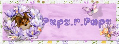 GS-–-Spring-April-2025-Siggy