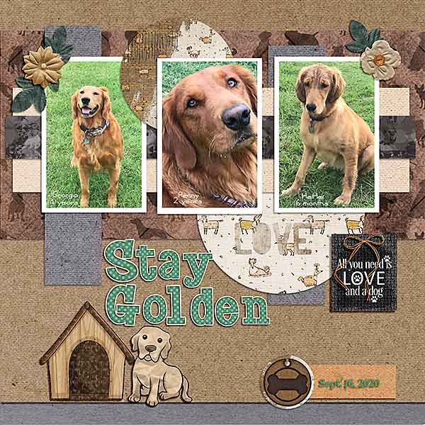 GS-TC2-523-StayGOlden91620