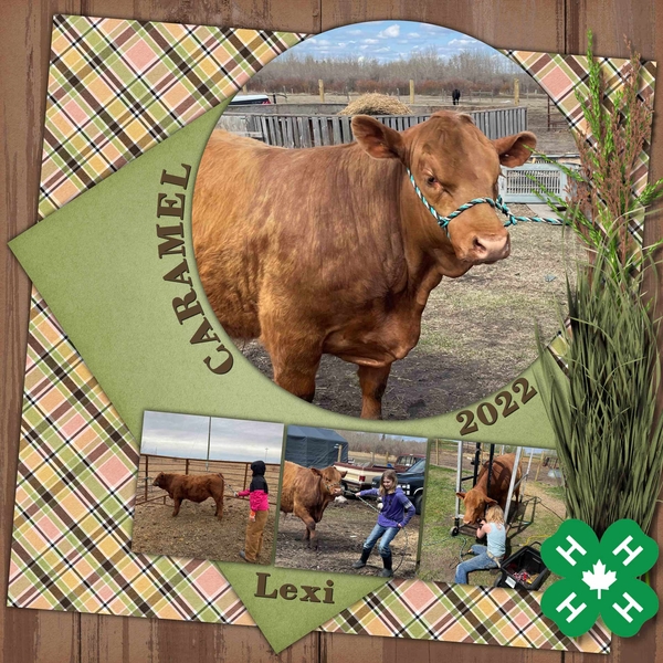 GS Template 1 Challenge Dec 2022