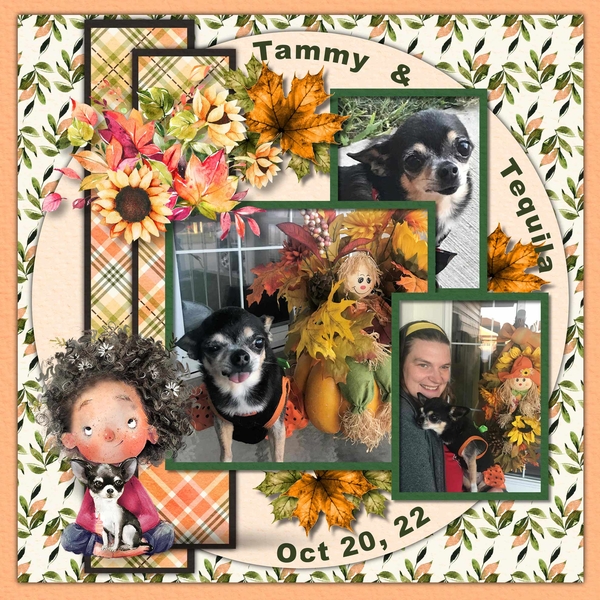 GS Template 1 Challenge Nov 2022