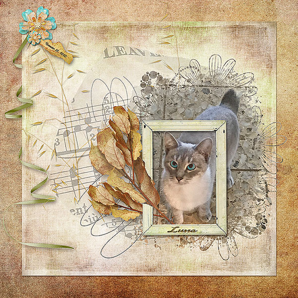 GS-UIA1120-Luna112620