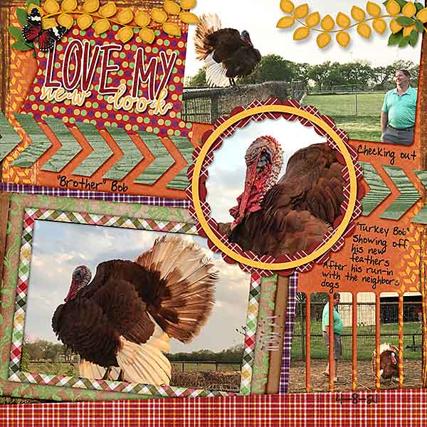 GS-WordArtCh1022-TurkeyBobsNewFeathers4821