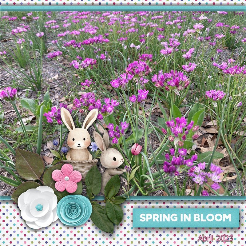 GS_2023April_SpringinBloom.jpg