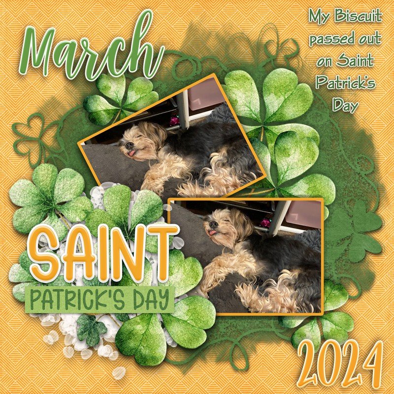 GS_2024March15_BiscuitPassedOut.jpg