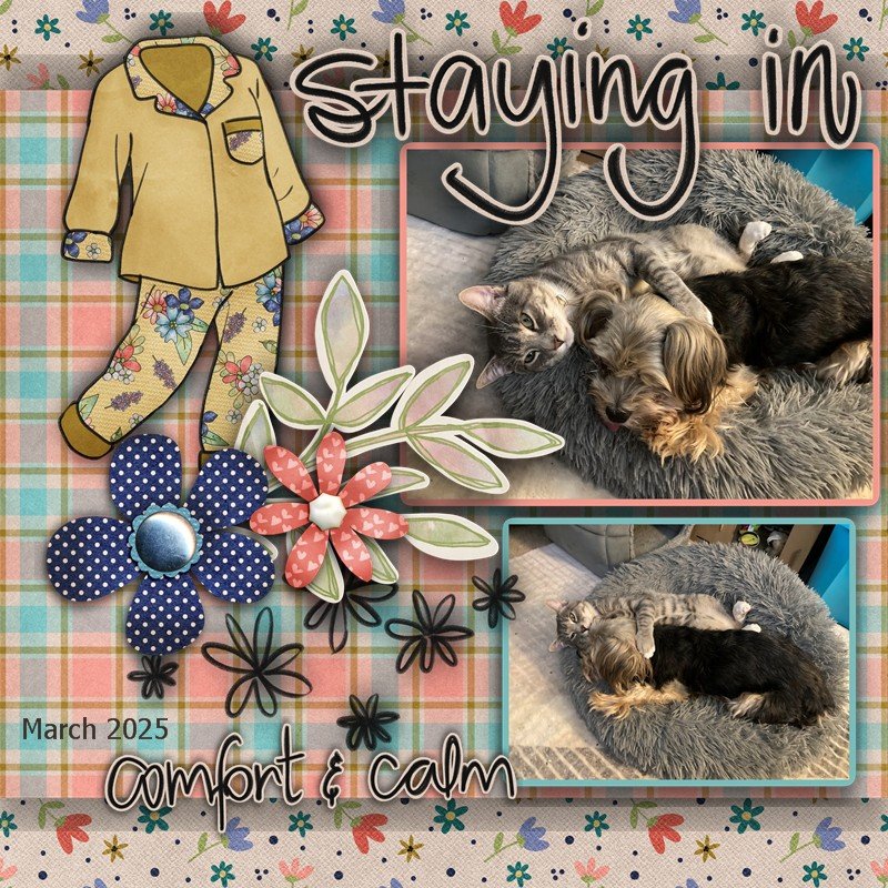 GS_2025March_StayingIn.jpg