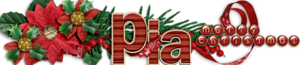 GS_Dec_16_siggie