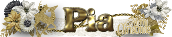 GS_Dec_siggie