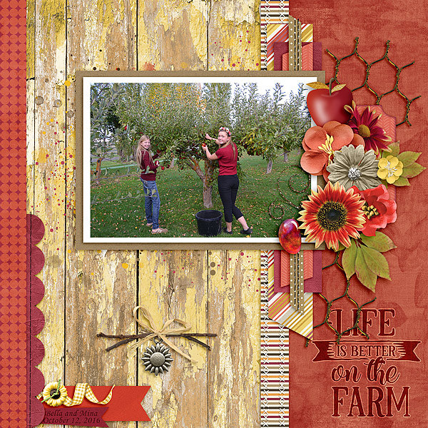 GS_HarvestingMemories-MissFish_Sidelines_BellaMina10-2016-copy