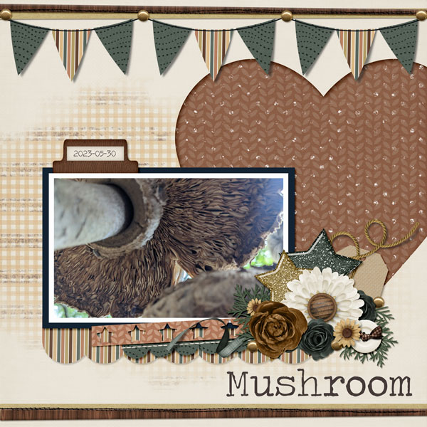 GS_intothewoods-MFish_EverydaySingles_02