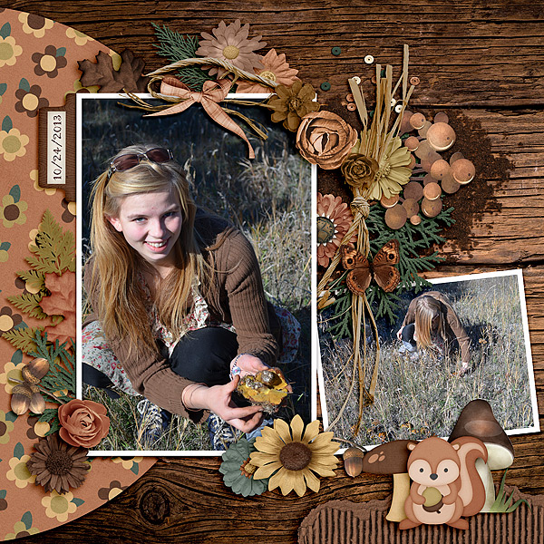 GS_IntoTheWoods_Rosi10-2013-copy