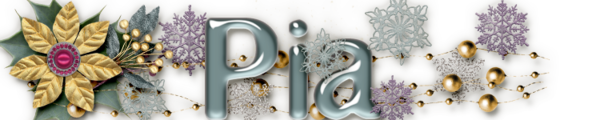 GS_January_19_siggie