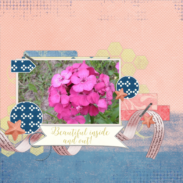 GS_June19_TempChal1_MFish-01