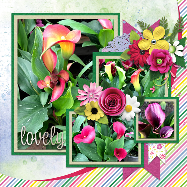 GS_LifeFullBloom_MFish_Temp02