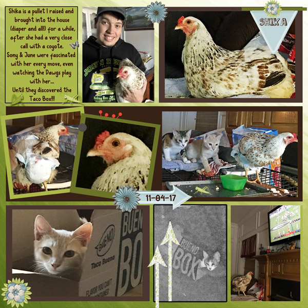 GSBackItUpCh1118-ShikaInHouse110417