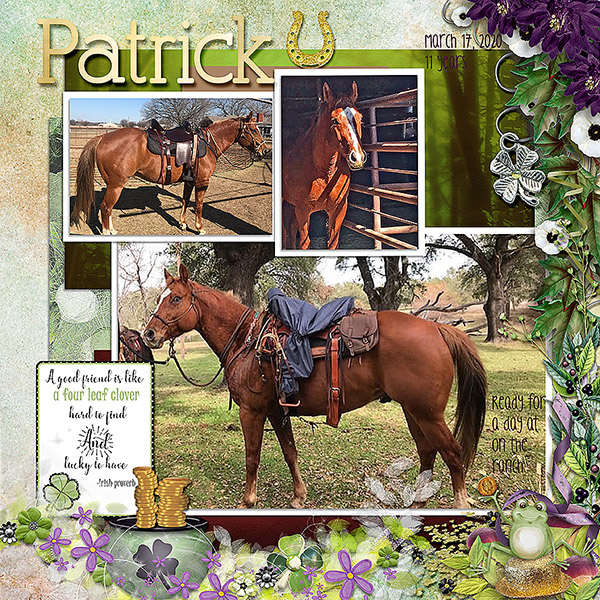GSBingoCh320-Patrick11yrs31720