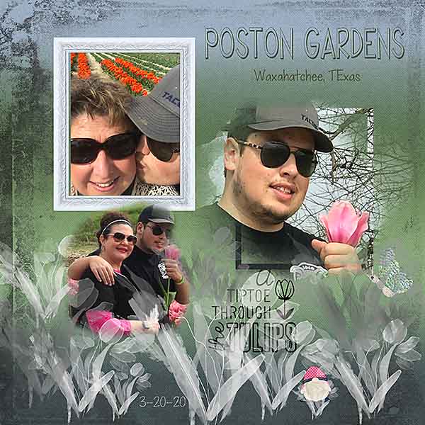GSBrushCh422-SPostonGardens32020