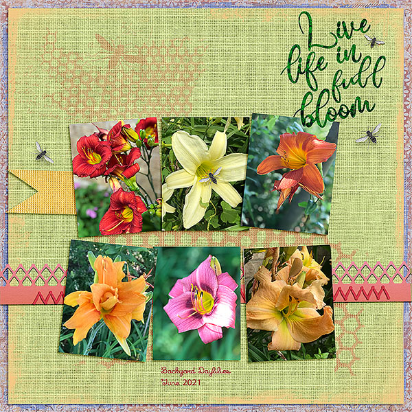 GSBrushCh621-BackyardDaylilies621