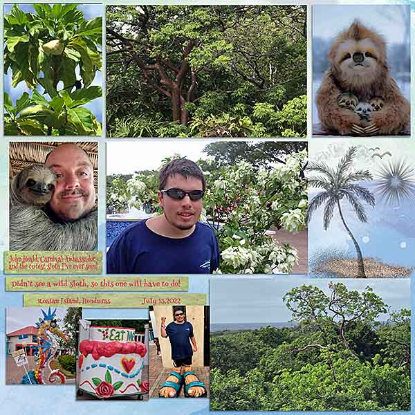 GSBrushCh723-RoatanNoSloths71322