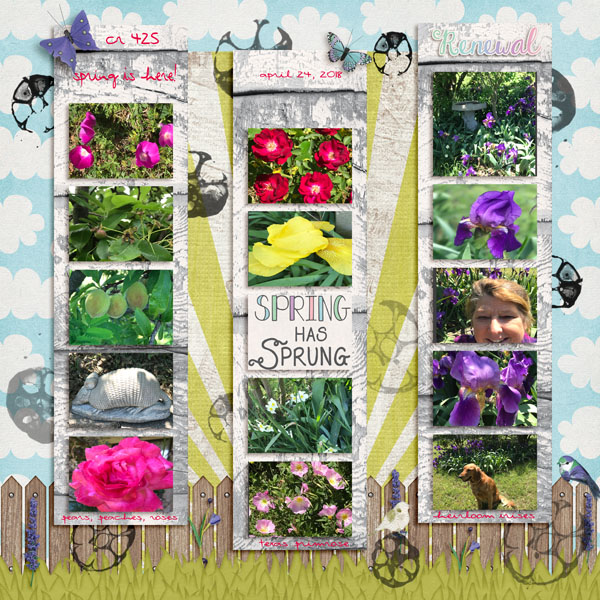 GSBrushChall918-425SpringFlowers42418