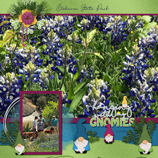 GSBuffetCh120-HangingGnomies4419