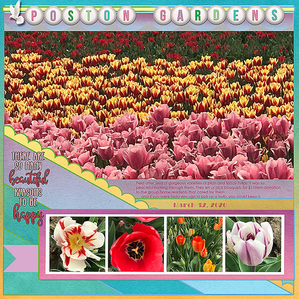 GSBuffetCh420-PostonGardens31220