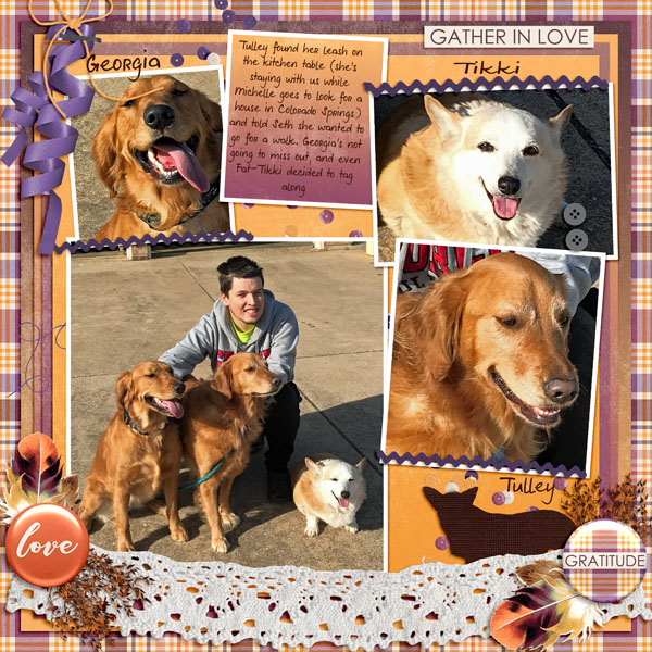 GSColorChal1118-TulleyWantsToWalk010918