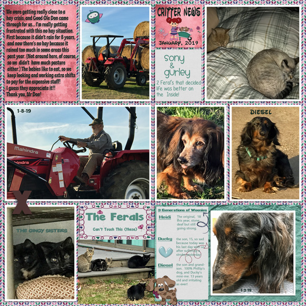 GSDesignerSpotlight-Jan2019Critters