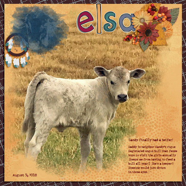GSDesiSpotlightCh918-Elsa8918
