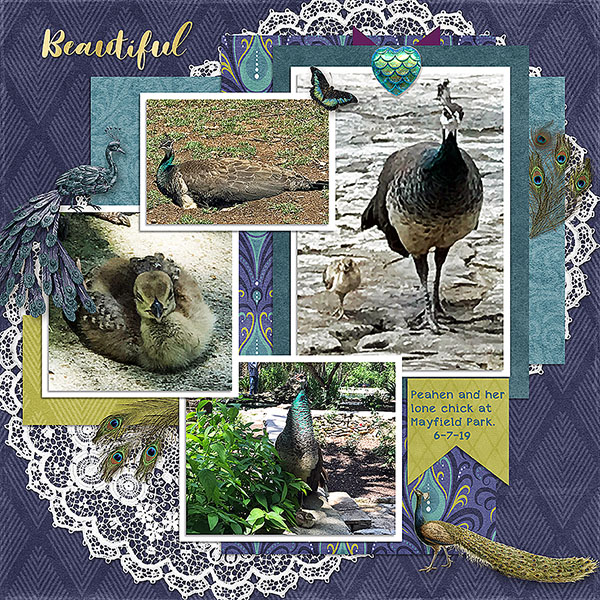 GSFontCh1020-MayfieldPeachick6719