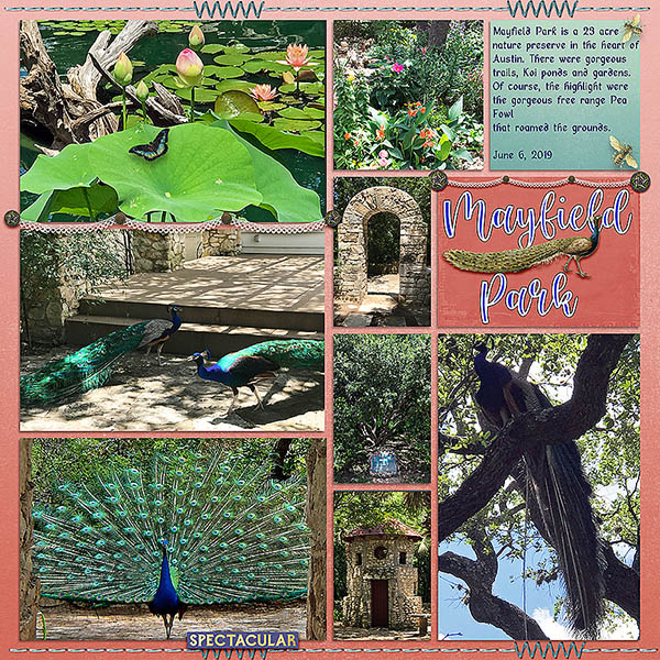 GSFontCh920-MayfieldReview6719