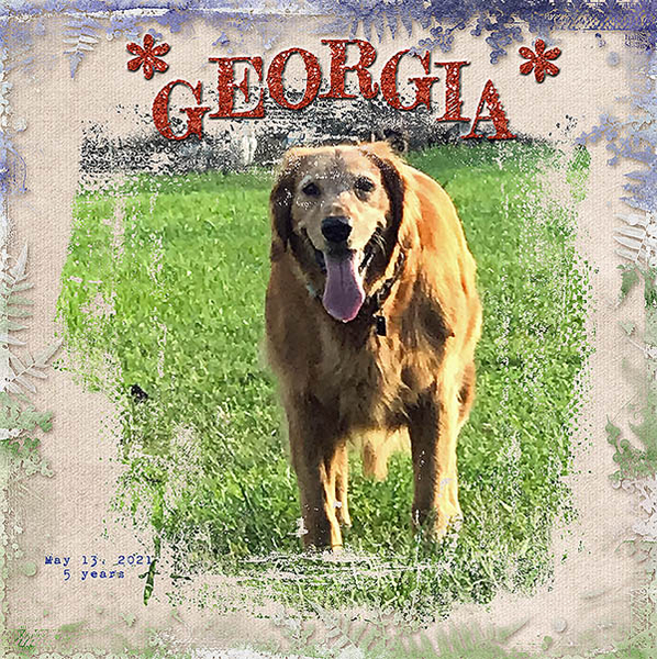 GSMaskCh0122-Georgia051321