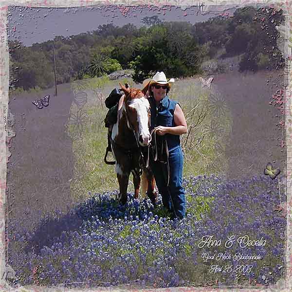 GSMaskCh523-ACeceBluebonnets42603