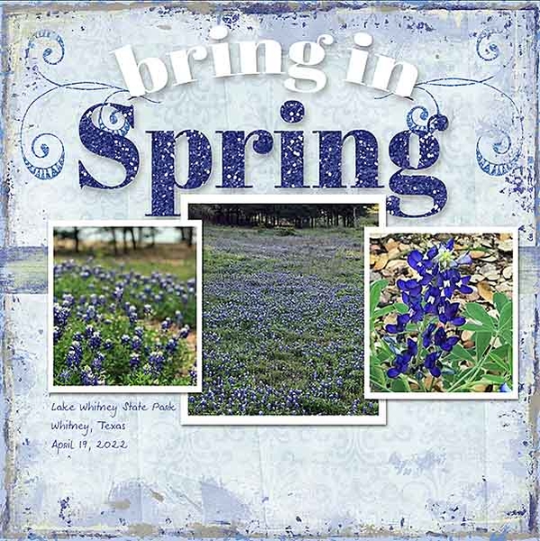 GSMemMixUp422-WhitneyBluebonnets41822