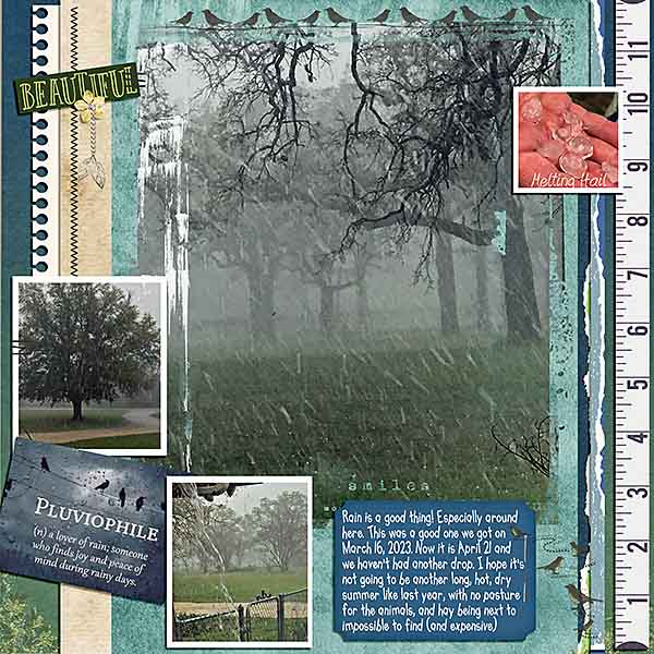 GSMemMixUp423-MarchRain31623