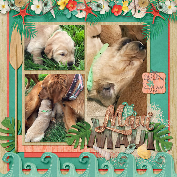 GSMixItUpCh320-Maui22920
