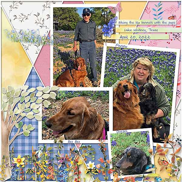 GSPerfectlyPaired422-PupsBluebonnets41920