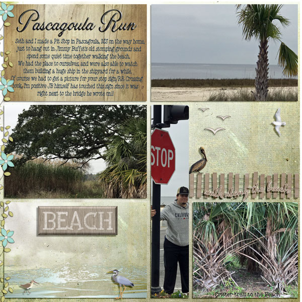 GSPocketCh419-PascagoulaRun-LSide011519