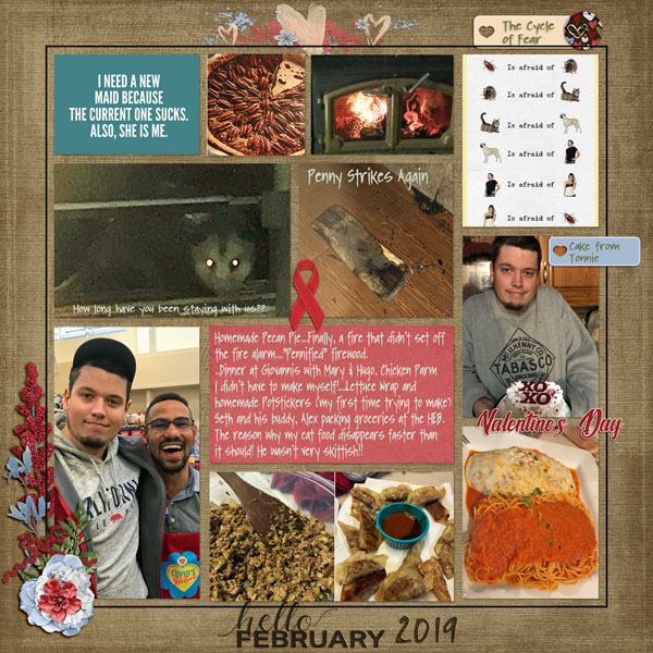 GSPocketCh919-Feb2019Review