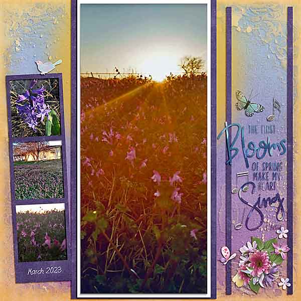 GSQuoteCh423-SunsetSpringBlooms31523